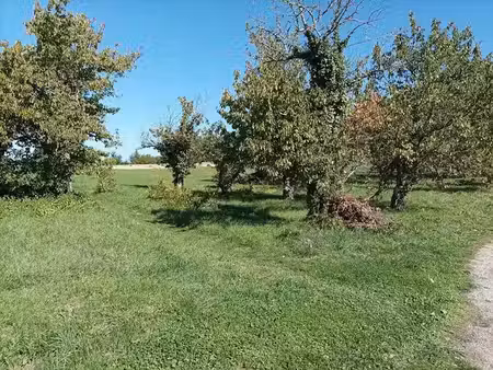 vente terrain 1628 m² à saint-vincent-rive-d'olt (46140)  34 000 €