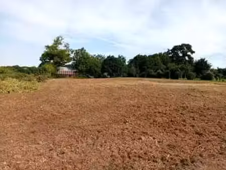 vente terrain à héricourt-en-caux (76560) : à vendre / 2538m² héricourt-en-caux