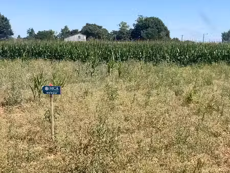 vente terrain 630 m² à balanzac (17600)  37 800 €