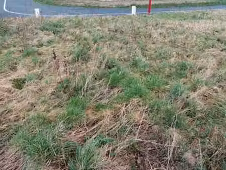 vente terrain à ourville-en-caux (76450) : à vendre / 637m² ourville-en-caux