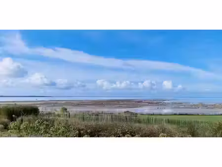 maison avec terrasse chatelaillon-plage (17)