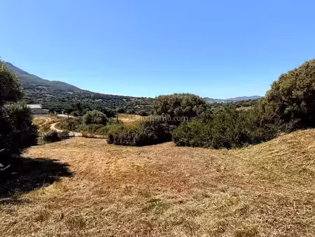 vente terrain 943 m2 à peri
