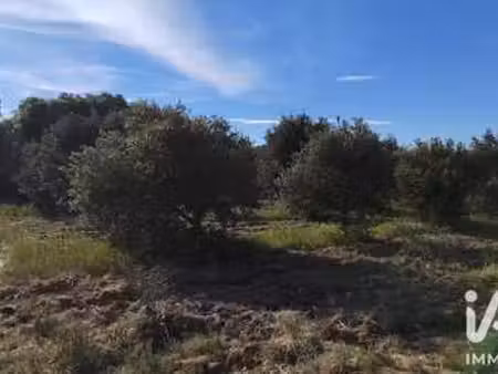 vente terrain à sérignan-du-comtat (84830) : à vendre / 4300m² sérignan-du-comtat