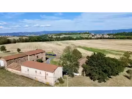 maison de luxe de 10 pièces en vente à paulhac  france