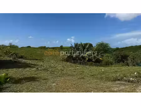 achat terrain 779m²