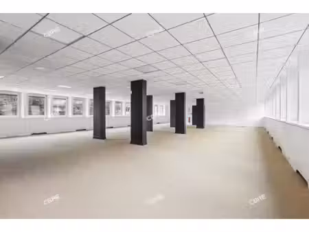 location local professionnel 773m²