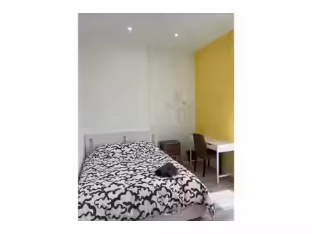 maison en colocation à rue hanoteau gilly (vbe67918)