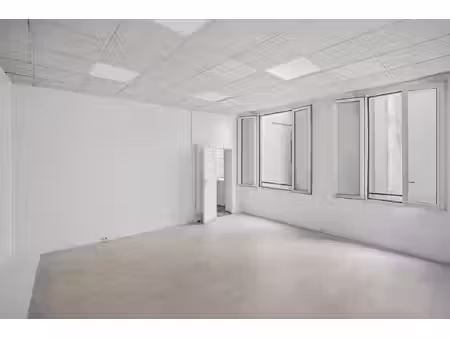 location local professionnel 53m²