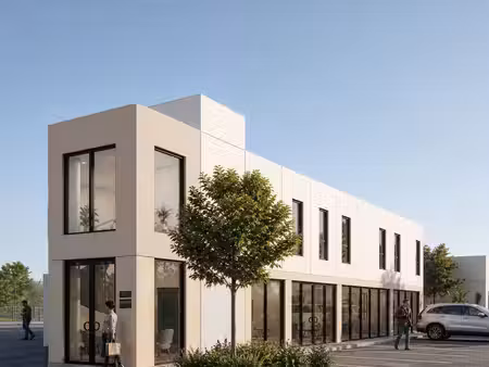 achat local professionnel 229m²