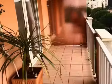 location appartement 2 pièces 30 m² à béziers (34500)