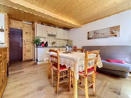 achat appartement 2 pièces 40m² st etienne de tinee 06660