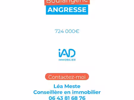 vente locaux professionnels 0 pièces à angresse (40150)  724 000 €