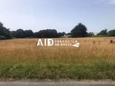 vente terrain au hézo (56450) : à vendre / 447m² le hézo