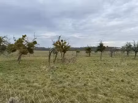 terrain à bâtir de 464 m² à bu (28)
