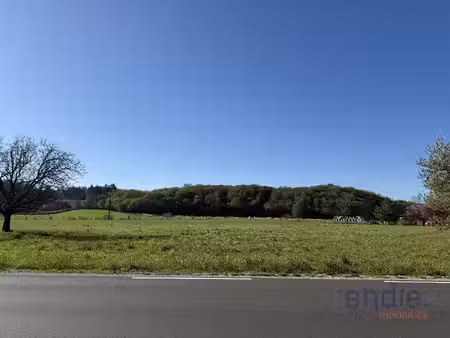 terrain