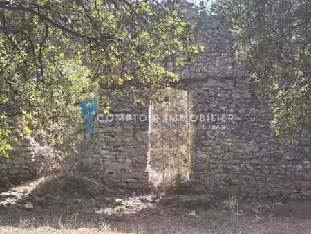 terrain forestier avec ruine