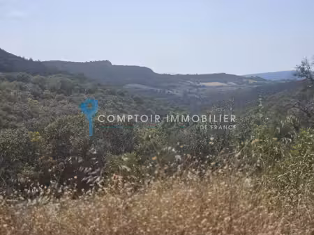 terrain forestier vallonné