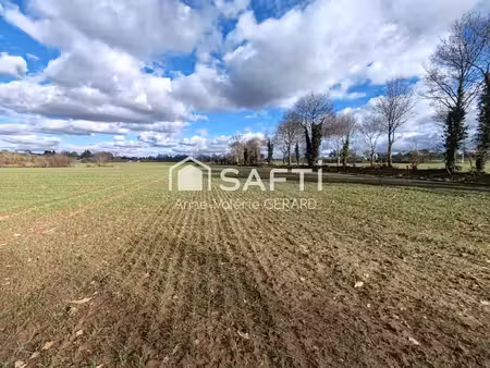 vente terrain 120000 m² fougerolles-du-plessis (53190)