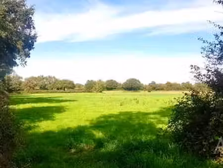 vente terrain à montaigu (85600) : à vendre / 8100m² montaigu