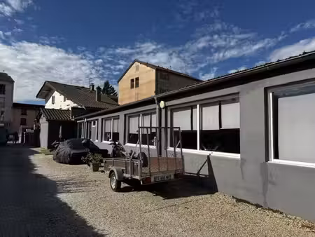 vente commerce charnay les macon 71850 387m²
