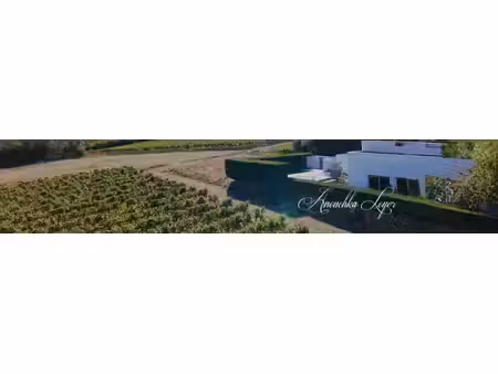 maison d’architecte avec piscine et vue sur les vignes