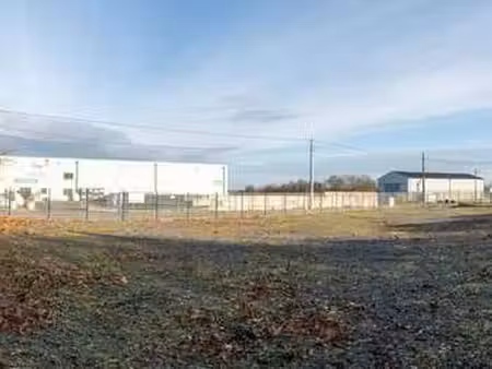 vente terrain à saint-pierre-montlimart (49110) : à vendre / 1135m² saint-pierre-montlimar