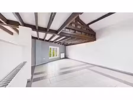 bel appartement avec mezzanine