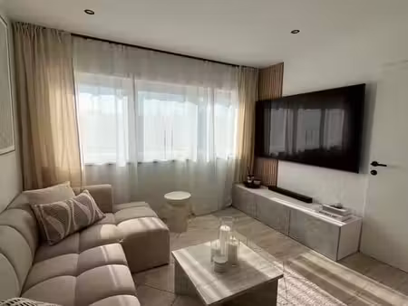 appartement totalement rénové + garage - cave - balcon