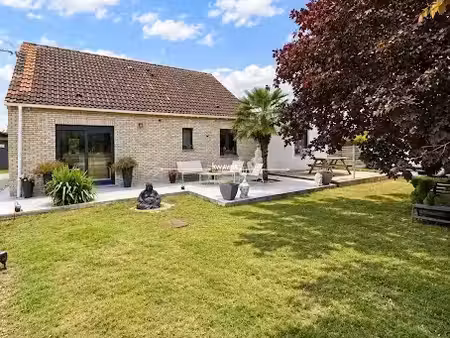 vente maison 6 pièces 130 m² à calonne-sur-la-lys (62350)  299 900 €