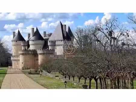 château à vendre à saint-gaultier