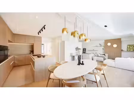 appartement mansardé spacieux et lumineux rénové avec terras