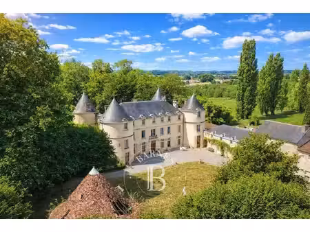château à vendre à la châtaigneraie