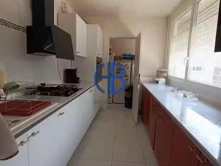 appartement avec vue sur le rhône   4 pièces  3 chambres + garage