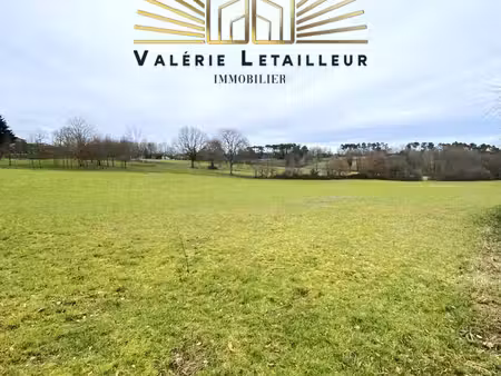 magnifique terrain de 2 hectares dont 6400m2 constructible a