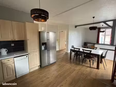 grand appartement t2 duplex- rez de jardin-proche gare