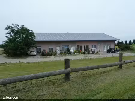 nambsheim grand f2  rez de jardin  terrasse  endroit calme