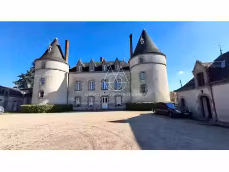 vente maison 15 pièces 400 m² montmorillon (86500)