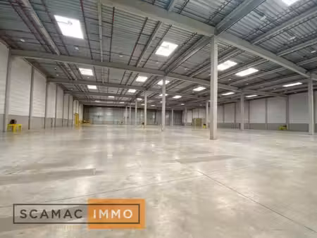 location entrepôt 13721m²