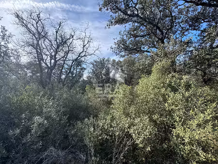 terrain 0 pièces 46530 m² à vendre / acheter mazan 84380 ? | era immobilier