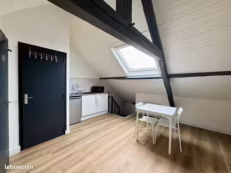 studio 1 pièce 18 m²