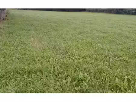 vente terrain 790 m² à saint-riquier (80135)  49 500 €