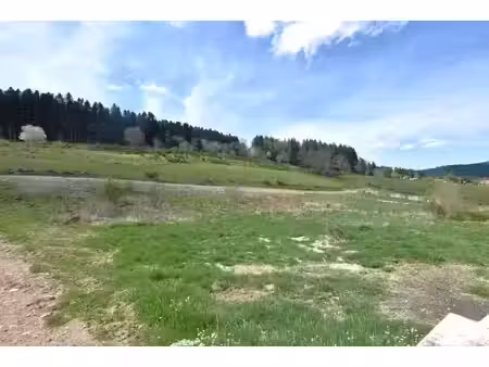 vente terrain 945 m² à dunières (43220)  57 000 €