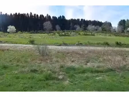vente terrain 1018 m² à dunières (43220)  61 000 €