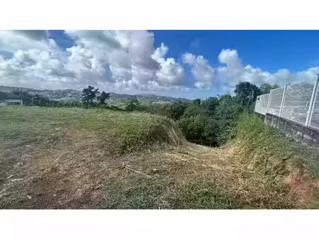 vente terrain 865 m² à riviere salee (97215)  66 000 €