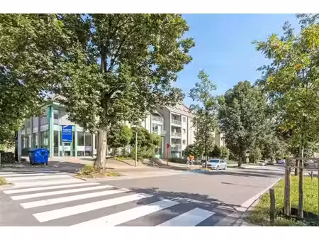 appartement à louer à monseigneur van waeyenberghlaan 46 louvain (rbw91985)