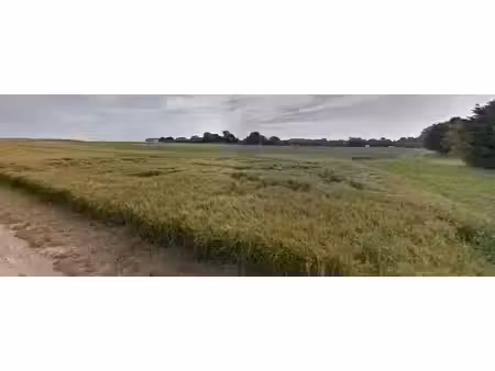 vente terrain à batir 499 m² à caurel (51110)  100 000 €