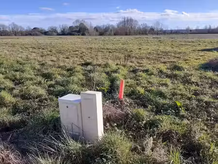 vente terrain 913 m² à saint-lieux-lès-lavaur (81500)  110 000 €