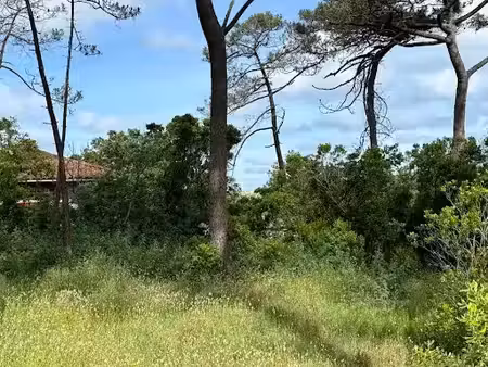 vente terrain 450 m² à lanton (33138)  179 000 €