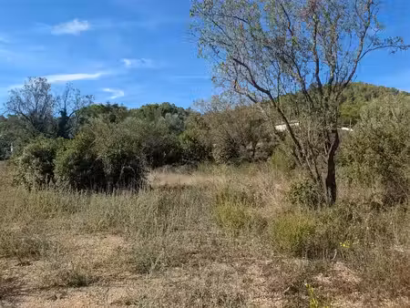 vente terrain 789 m² à langlade (30980)  220 000 €