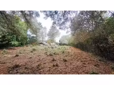 vente terrain 1091 m² à pin-balma (31130)  230 000 €